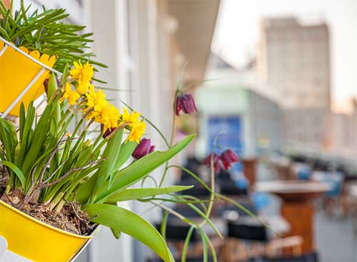 Eventlocation Preload